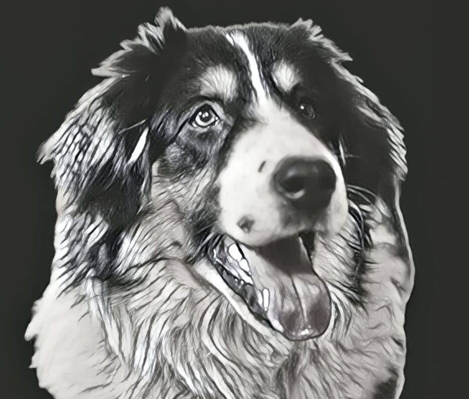 Wróć do strony domowej